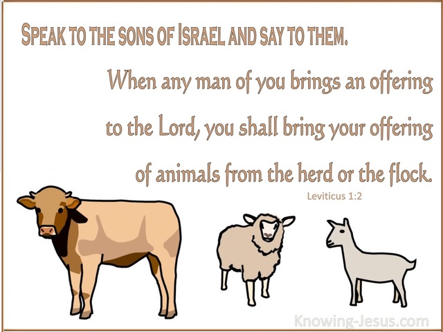 Leviticus 1:2 Bring Your Offering Of Animals From The Herd Or The Flock (white)